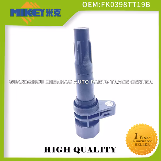 Bobina de ignição de peças automotivas do novo fabricante chinês por atacado para Byd F3r Vvl 473qb OEM: Fko398/Tt19b