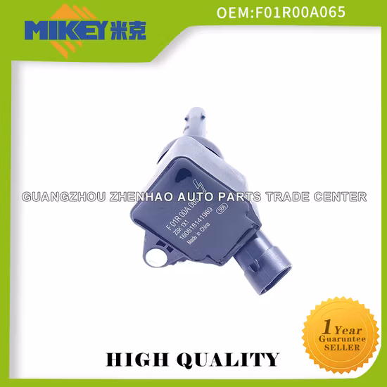 Bobina de ignição de peça automotiva de alta qualidade para Byd G6 Byd Fast Sharp 1.5t Byd Song/Byd G6 Novo F3 Qin S6 Sirui G5 S7 Fast Sharp 1.5t 476 OEM: Foir00A065